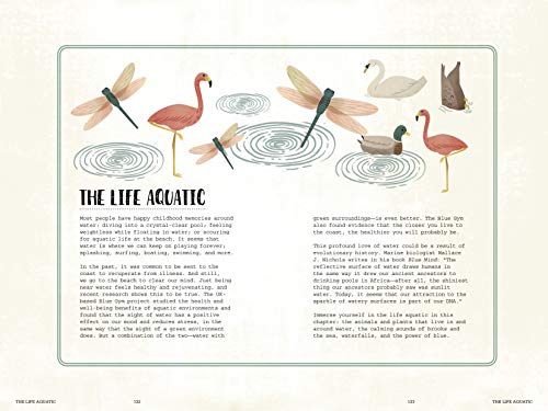 Nature Tonic: A Year in My Mindful Life (365 Creative Mindfulness)