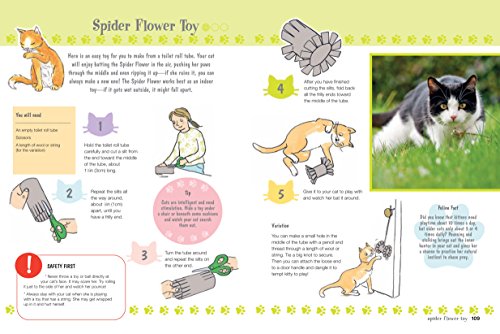 My First Cat Book: Simple and fun ways to care for your feline friend for kids aged 7+