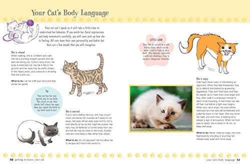 My First Cat Book: Simple and fun ways to care for your feline friend for kids aged 7+