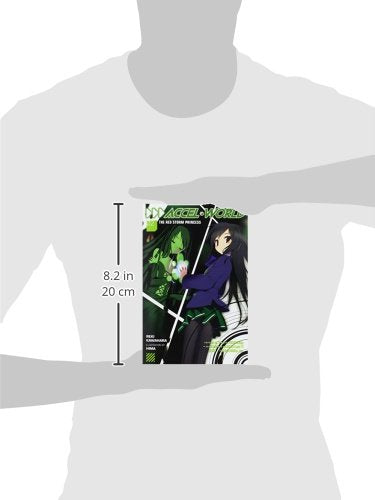 Accel World, Vol. 2: The Red Storm Princess - light novel (Accel World, 2)