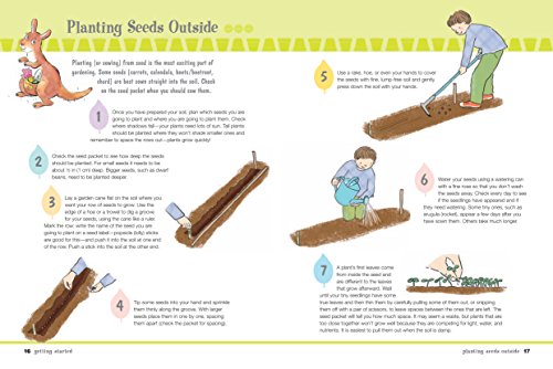 My First Gardening Book: 35 easy and fun projects for budding gardeners: planting, growing, maintaining, garden crafts